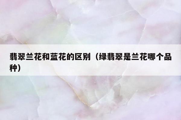 翡翠兰花和蓝花的区别（绿翡翠是兰花哪个品种）