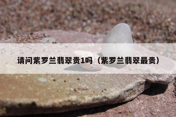 请问紫罗兰翡翠贵1吗（紫罗兰翡翠最贵）