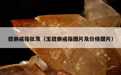 貔貅戒指批发（玉貔貅戒指图片及价格图片）