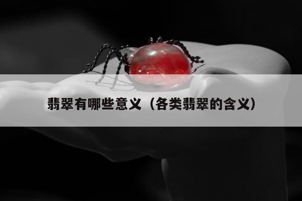 翡翠有哪些意义（各类翡翠的含义）