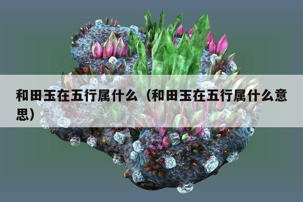 和田玉在五行属什么（和田玉在五行属什么意思）