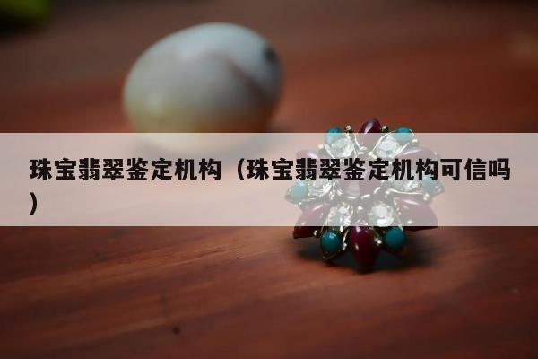 珠宝翡翠鉴定机构（珠宝翡翠鉴定机构可信吗）