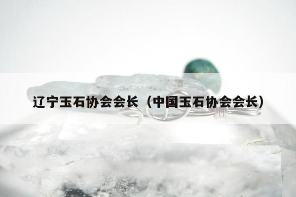 辽宁玉石协会会长（中国玉石协会会长）