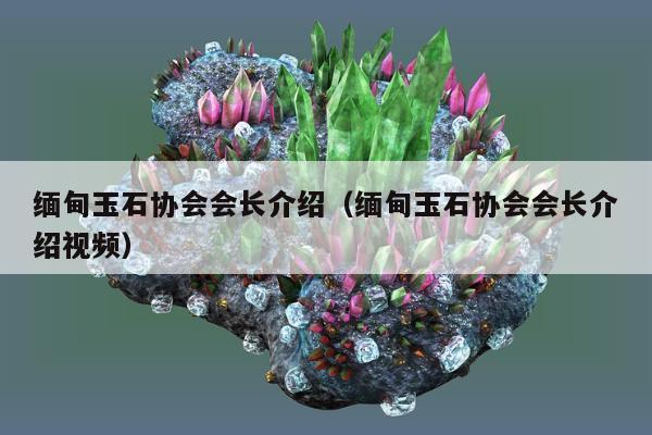 缅甸玉石协会会长介绍（缅甸玉石协会会长介绍视频）