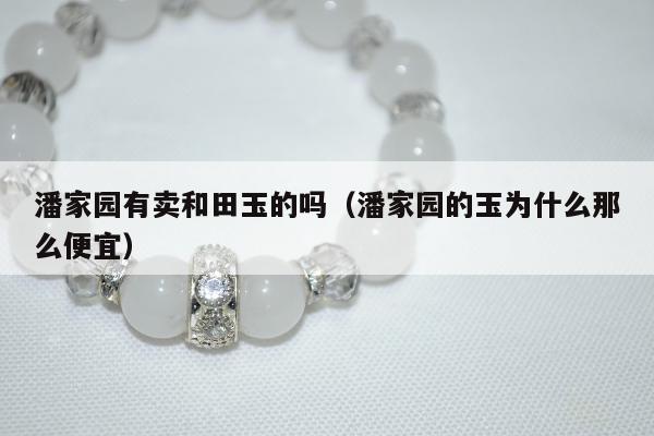潘家园有卖和田玉的吗（潘家园的玉为什么那么便宜）