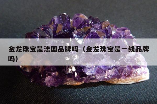 金龙珠宝是法国品牌吗（金龙珠宝是一线品牌吗）