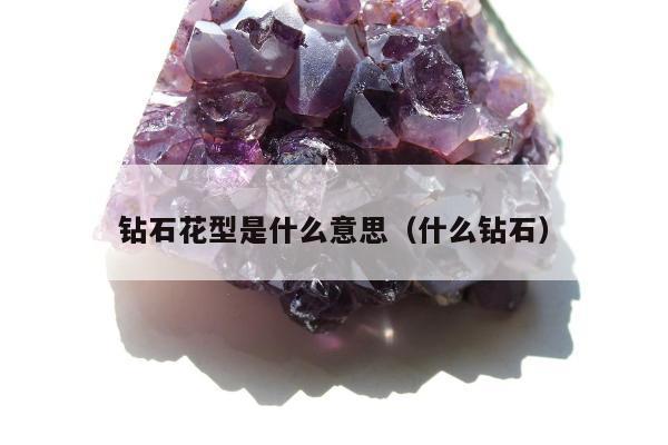 钻石花型是什么意思（什么钻石）