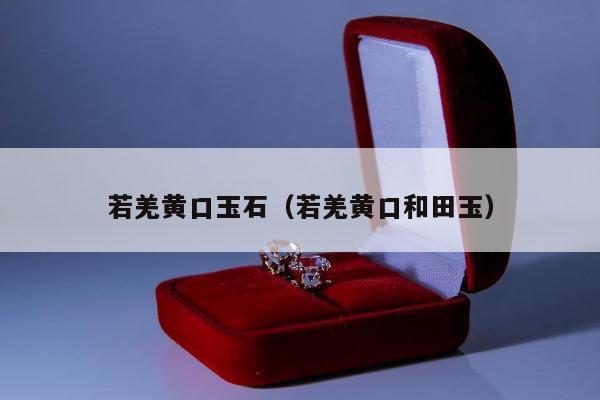 若羌黄口玉石（若羌黄口和田玉）