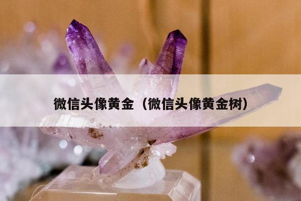 微信头像黄金（微信头像黄金树）