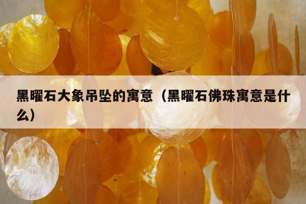 黑曜石大象吊坠的寓意（黑曜石佛珠寓意是什么）