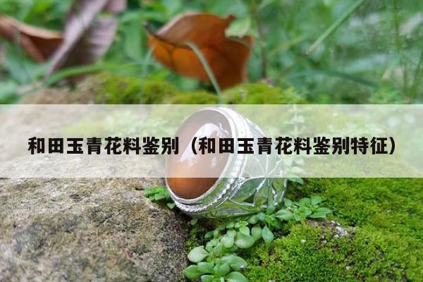 和田玉青花料鉴别（和田玉青花料鉴别特征）