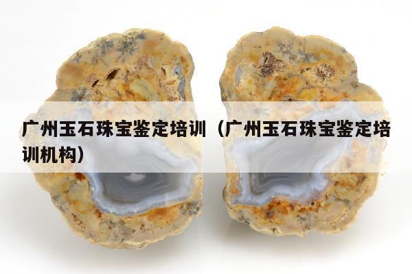 广州玉石珠宝鉴定培训（广州玉石珠宝鉴定培训机构）