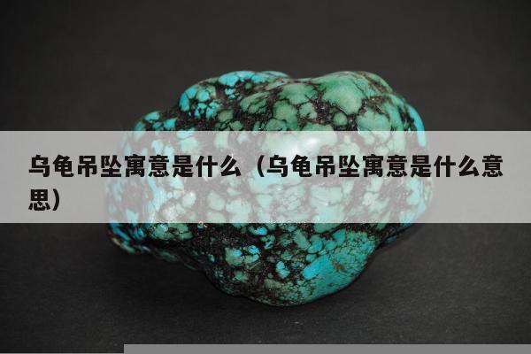 乌龟吊坠寓意是什么（乌龟吊坠寓意是什么意思）