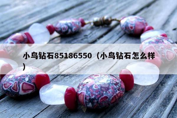 小鸟钻石85186550（小鸟钻石怎么样）