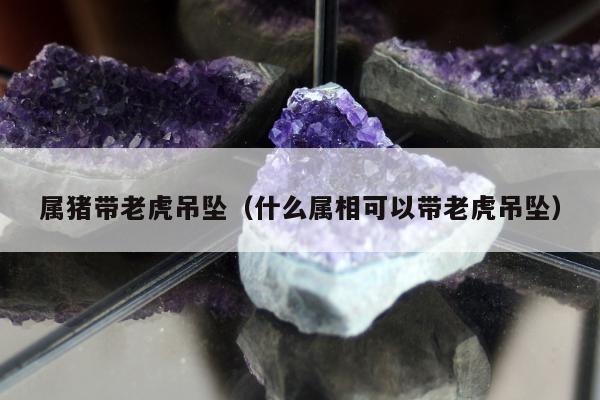 属猪带老虎吊坠（什么属相可以带老虎吊坠）