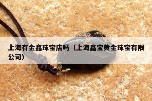 上海有金鑫珠宝店吗（上海鑫宝黄金珠宝有限公司）