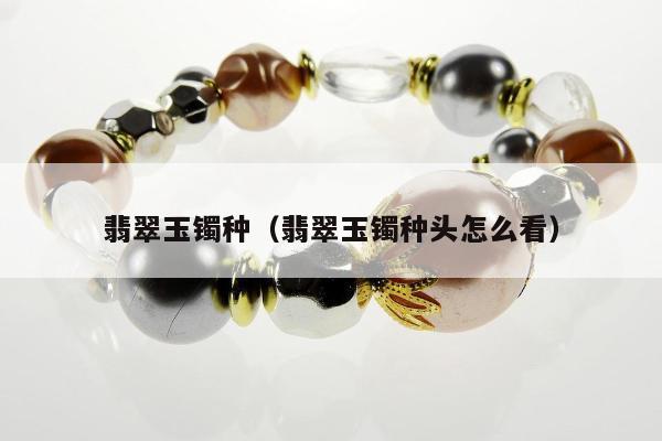 翡翠玉镯种（翡翠玉镯种头怎么看）