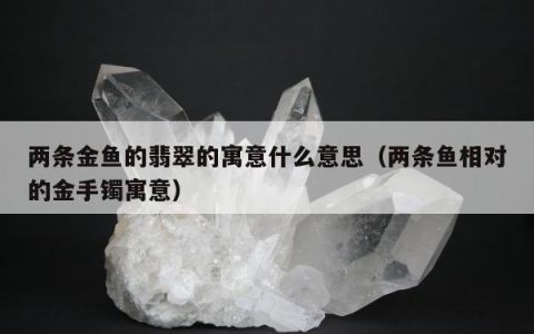 两条金鱼的翡翠的寓意什么意思（两条鱼相对的金手镯寓意）