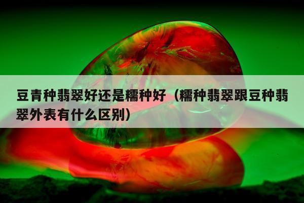 豆青种翡翠好还是糯种好（糯种翡翠跟豆种翡翠外表有什么区别）