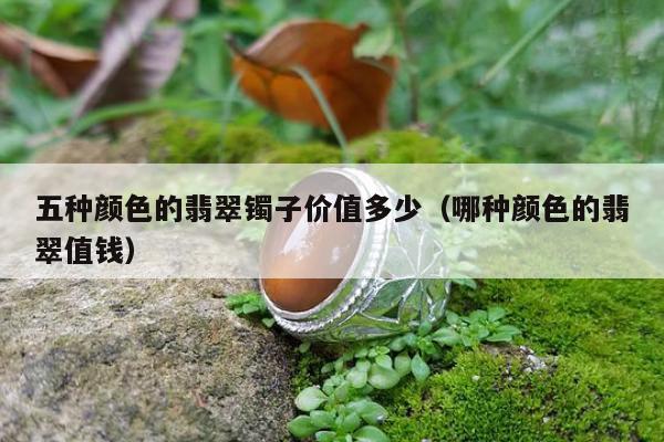 五种颜色的翡翠镯子价值多少（哪种颜色的翡翠值钱）