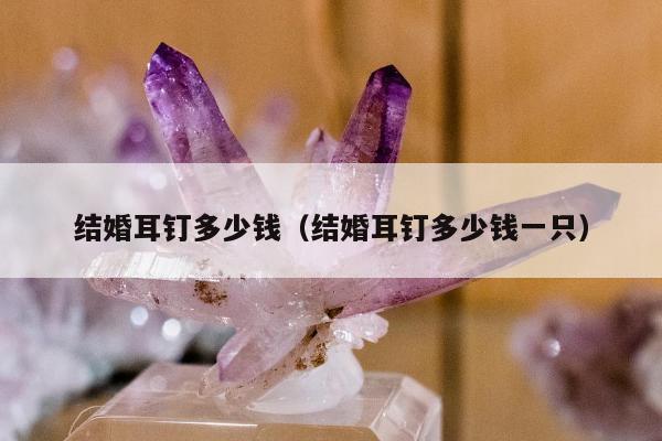 结婚耳钉多少钱（结婚耳钉多少钱一只）