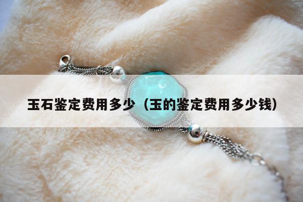 玉石鉴定费用多少（玉的鉴定费用多少钱）