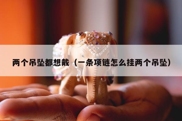 两个吊坠都想戴（一条项链怎么挂两个吊坠）