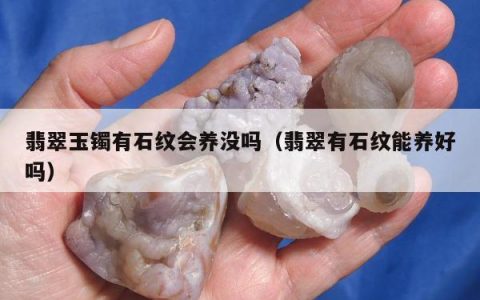 翡翠玉镯有石纹会养没吗（翡翠有石纹能养好吗）