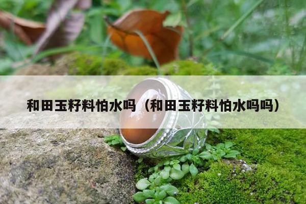 和田玉籽料怕水吗（和田玉籽料怕水吗吗）
