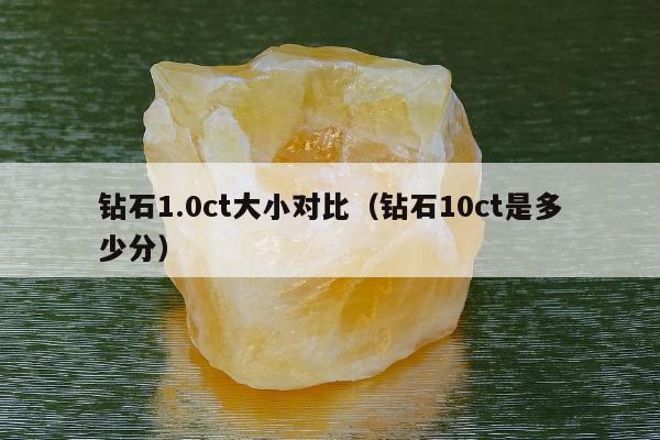 钻石1.0ct大小对比（钻石10ct是多少分）