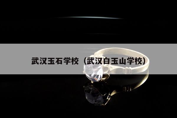 武汉玉石学校（武汉白玉山学校）