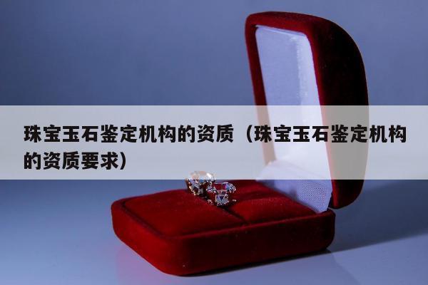 珠宝玉石鉴定机构的资质（珠宝玉石鉴定机构的资质要求）