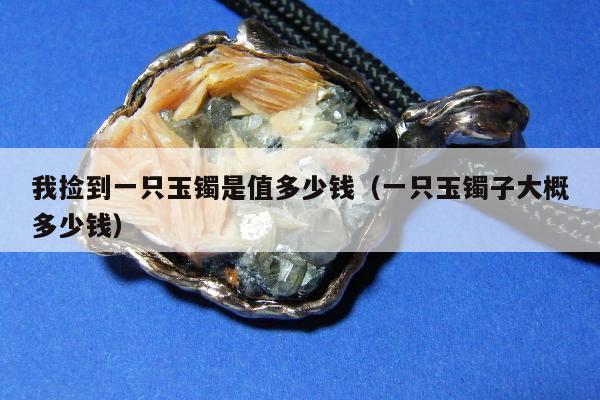 我捡到一只玉镯是值多少钱（一只玉镯子大概多少钱）