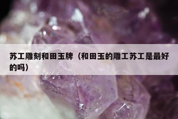苏工雕刻和田玉牌（和田玉的雕工苏工是最好的吗）