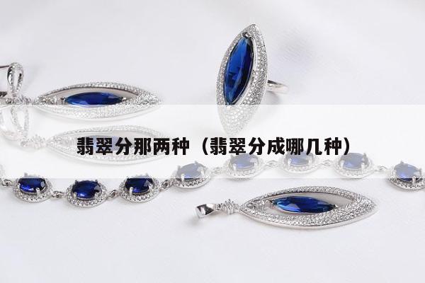 翡翠分那两种（翡翠分成哪几种）