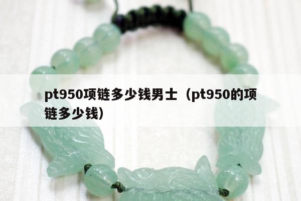 pt950项链多少钱男士（pt950的项链多少钱）