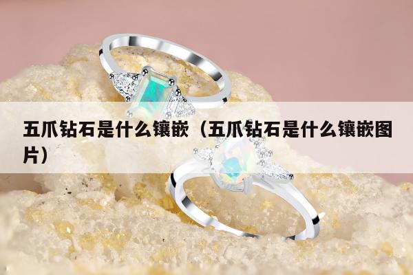 五爪钻石是什么镶嵌（五爪钻石是什么镶嵌图片）