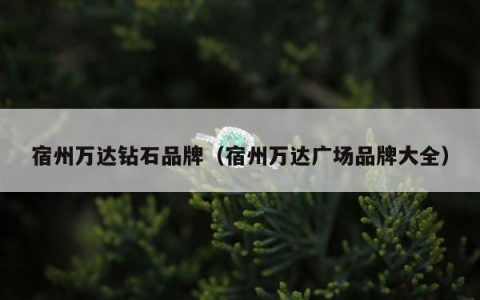 宿州万达钻石品牌（宿州万达广场品牌大全）