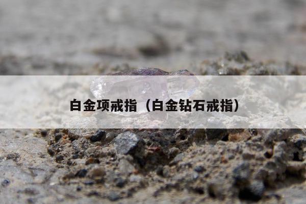 白金项戒指（白金钻石戒指）