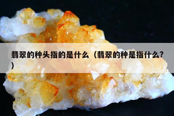 翡翠的种头指的是什么（翡翠的种是指什么?）