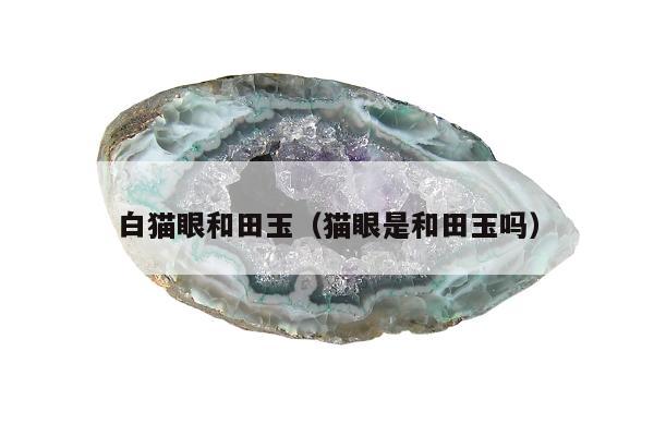 白猫眼和田玉（猫眼是和田玉吗）