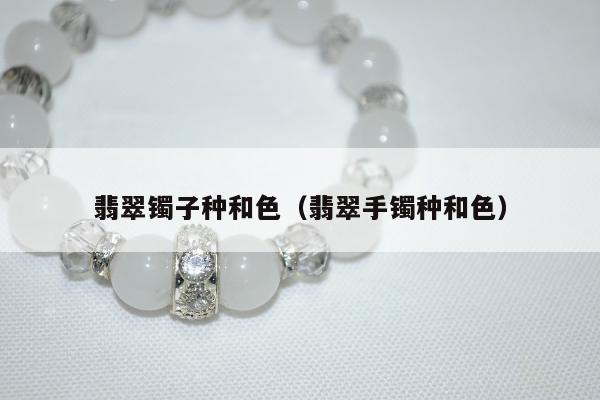 翡翠镯子种和色（翡翠手镯种和色）