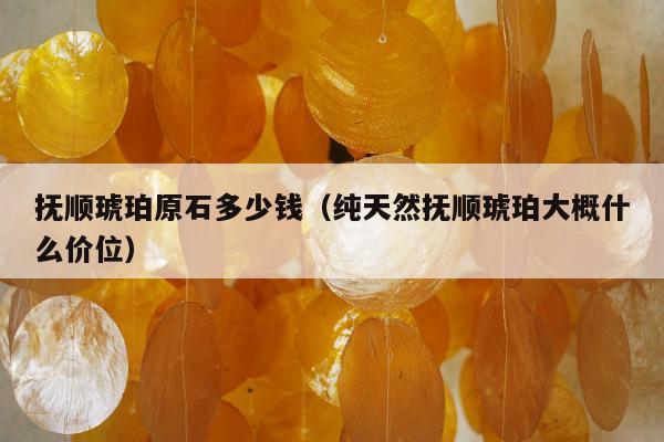 抚顺琥珀原石多少钱（纯天然抚顺琥珀大概什么价位）