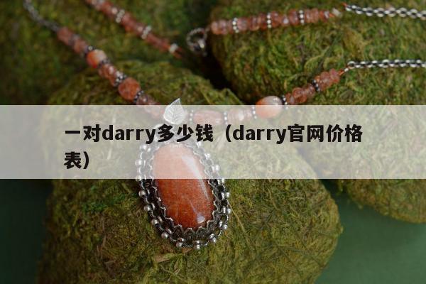 一对darry多少钱（darry官网价格表）