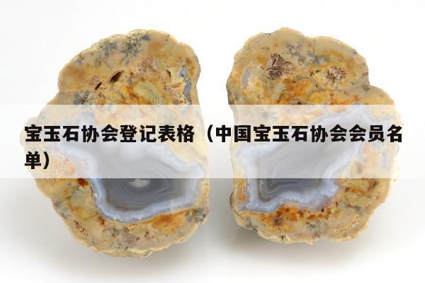 宝玉石协会登记表格（中国宝玉石协会会员名单）