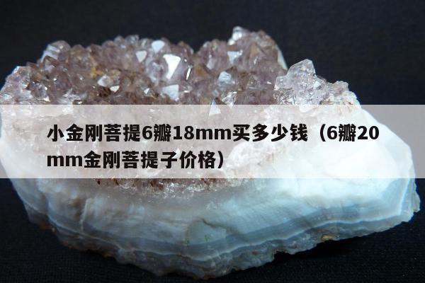 小金刚菩提6瓣18mm买多少钱（6瓣20mm金刚菩提子价格）