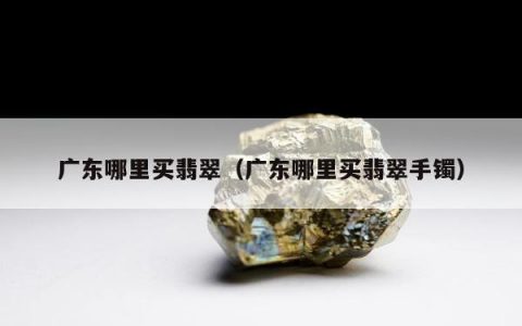 广东哪里买翡翠（广东哪里买翡翠手镯）