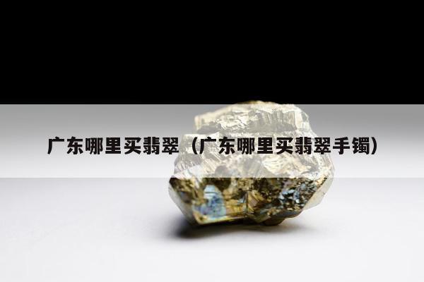 广东哪里买翡翠（广东哪里买翡翠手镯）