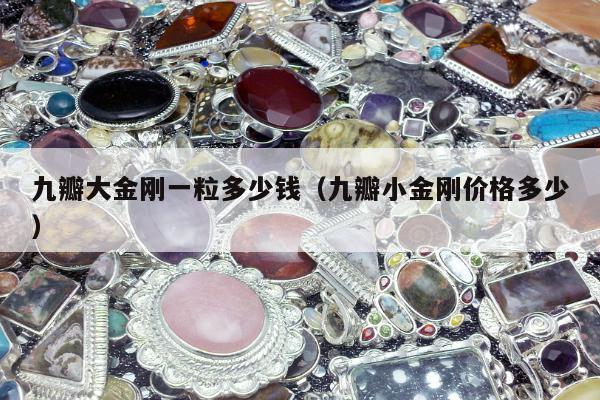 九瓣大金刚一粒多少钱（九瓣小金刚价格多少）