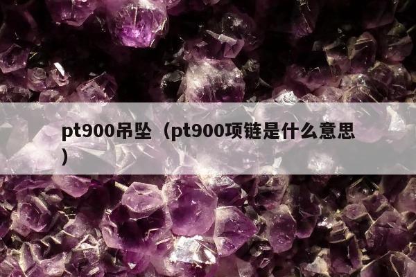 pt900吊坠（pt900项链是什么意思）